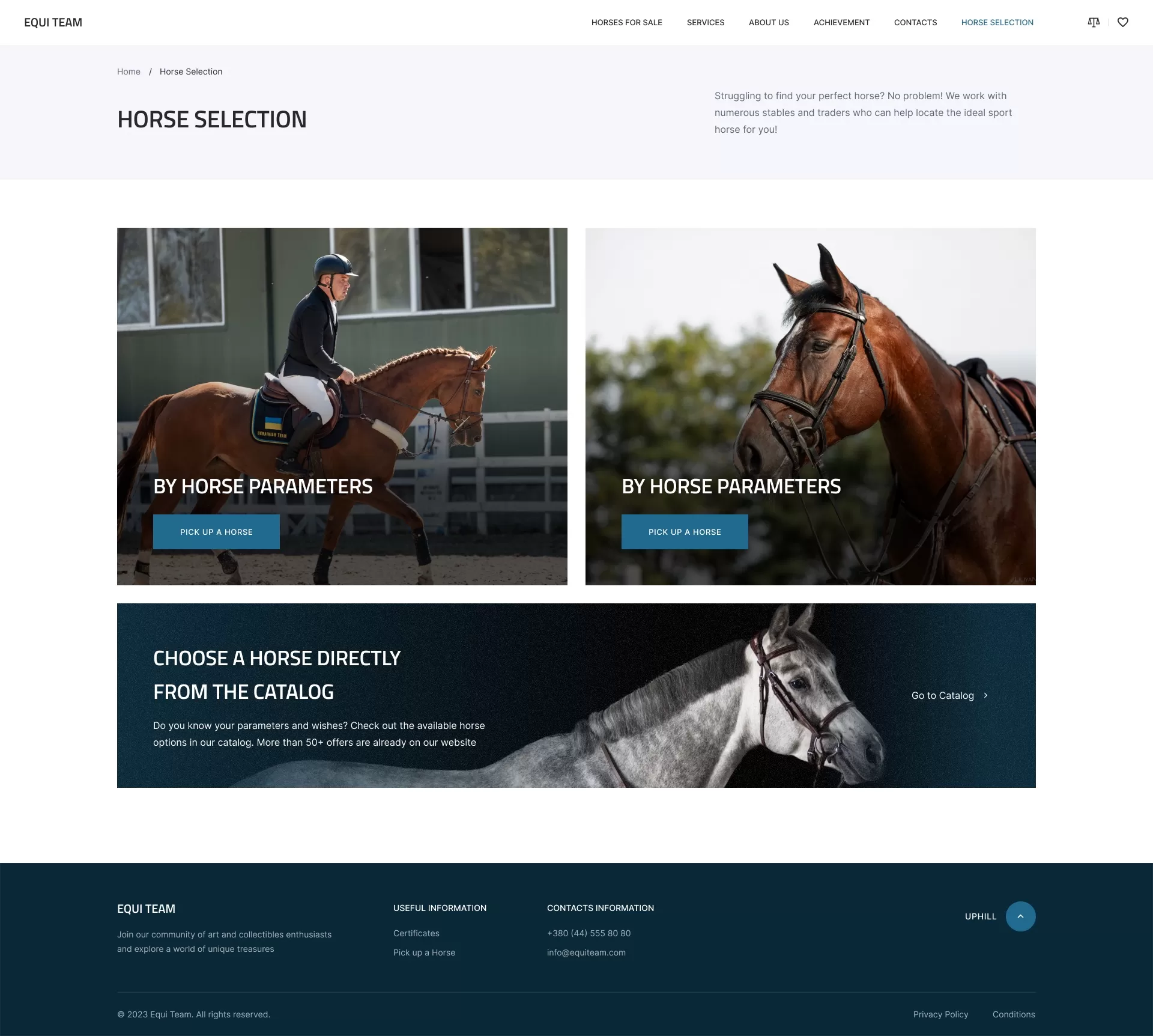 Equi Team_10.0_Horse Selection_1.0-sq