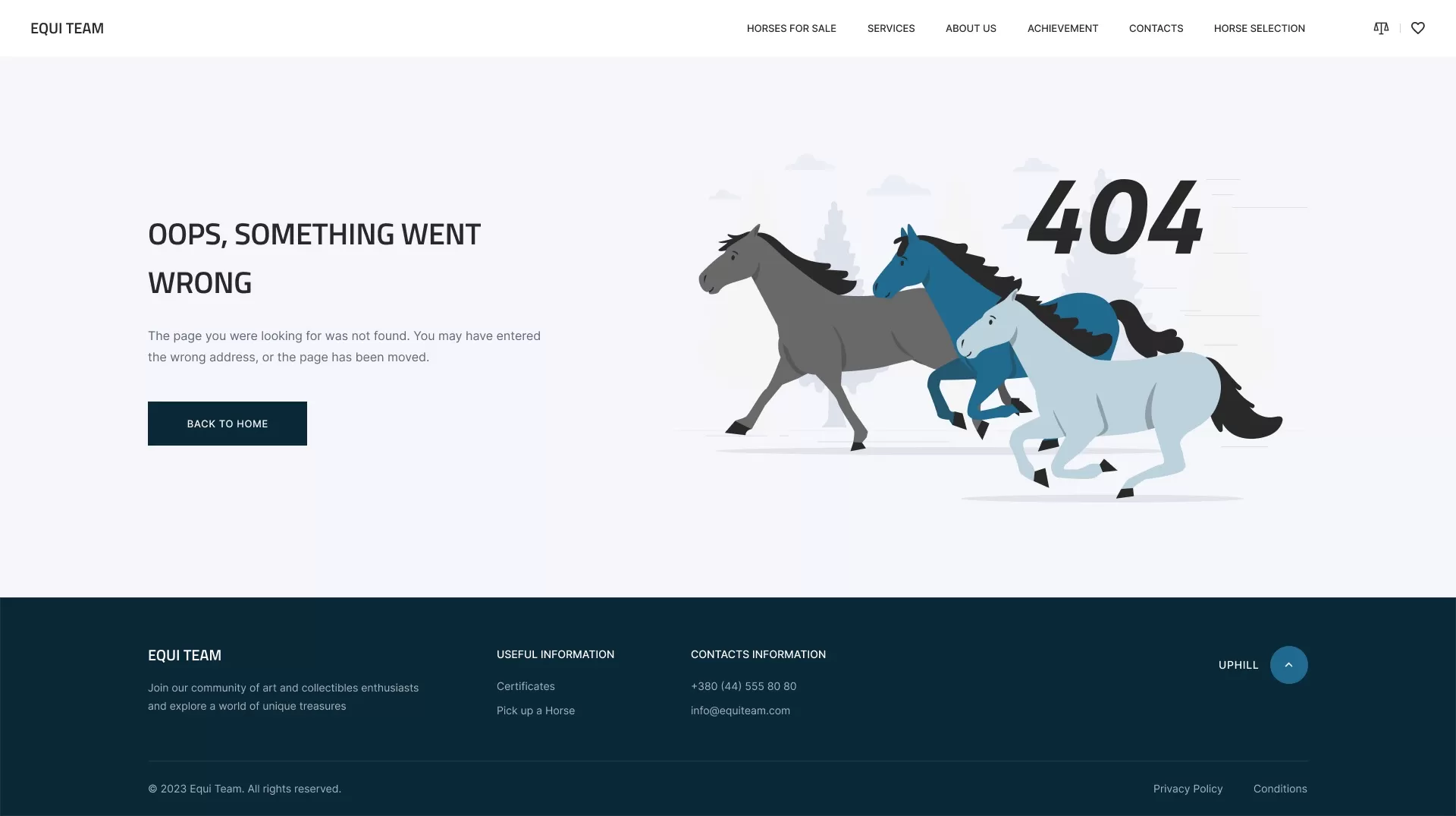 Equi Team_11.0_404_1.0-sq