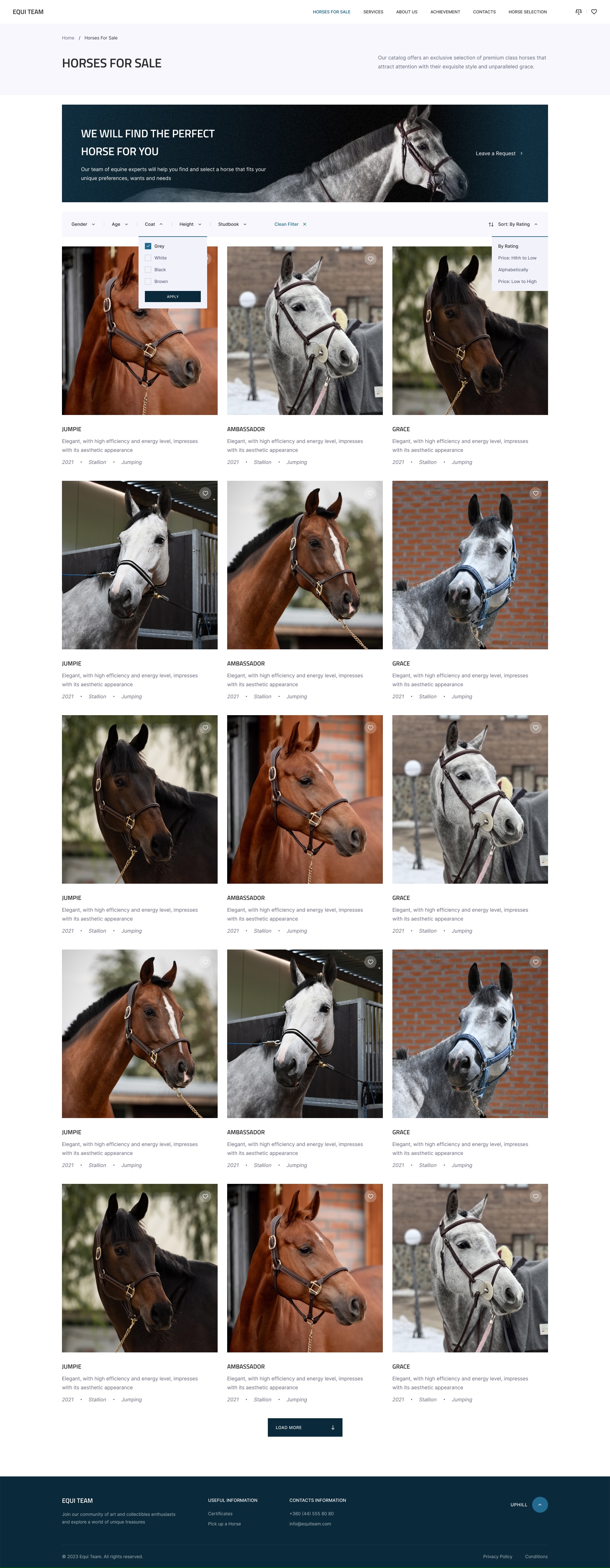 Equi Team_2.0_Horse_For_Sale_1.0-sq