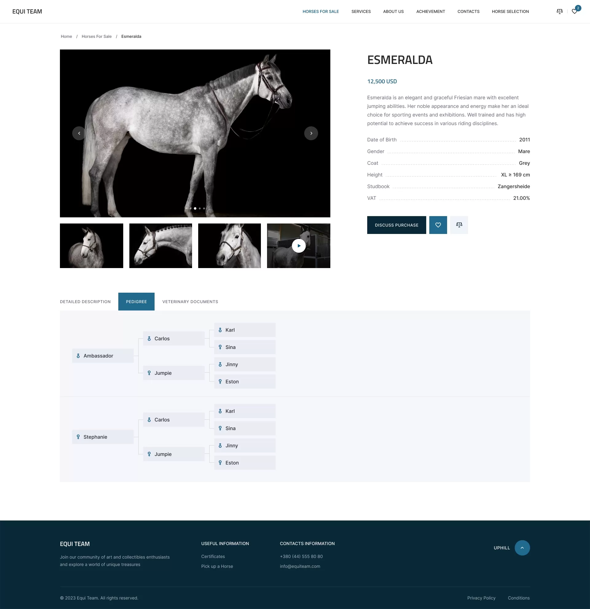 Equi Team_3.1_Product_Card_1.0-sq