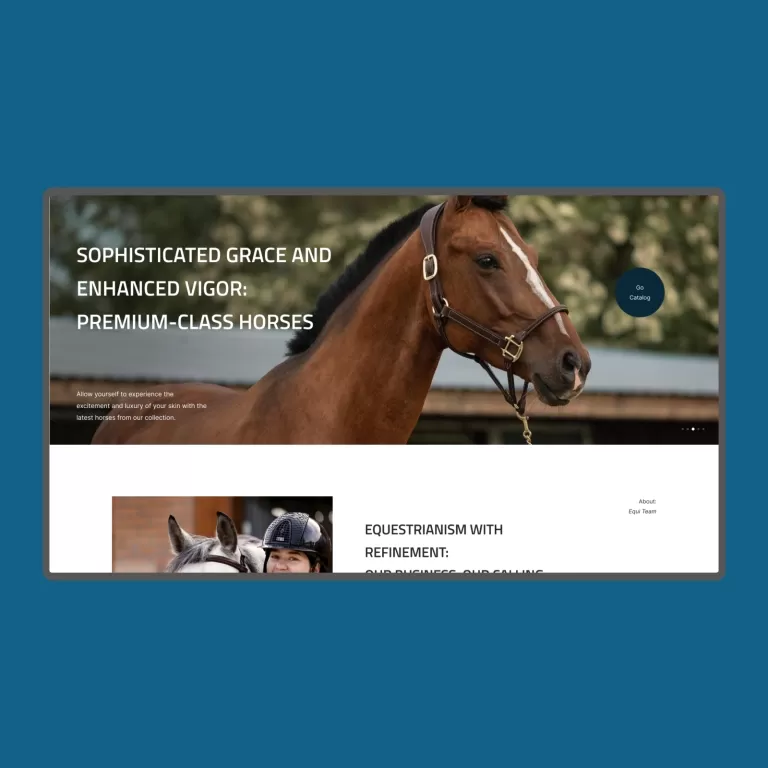 Equi Team — Online stores