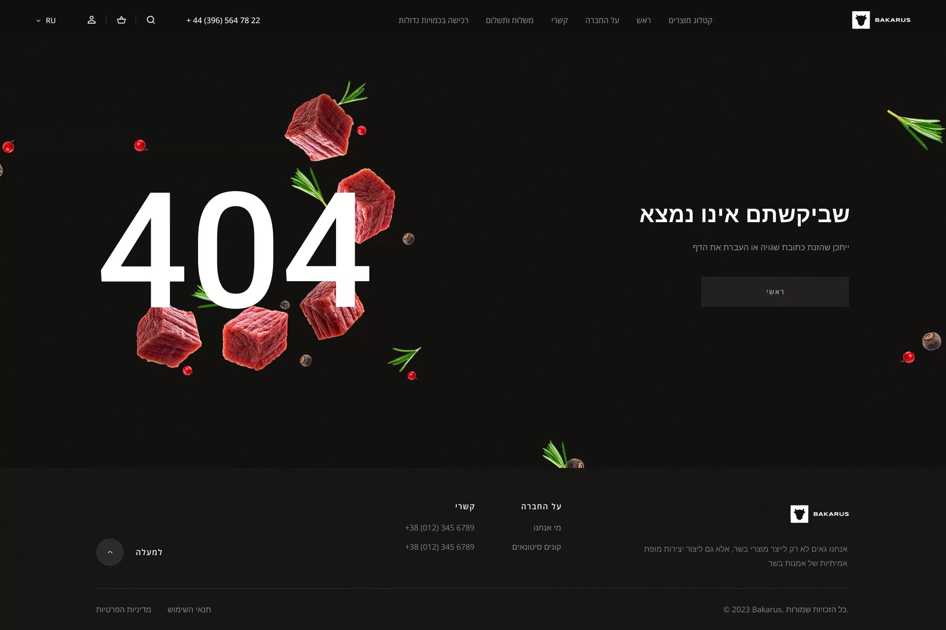 RTL_Bakarus_11.0_404_1.0-sq